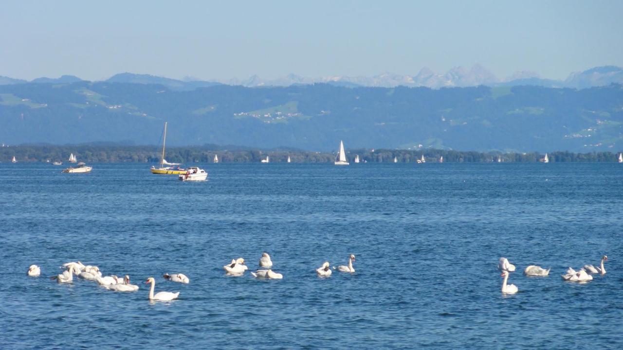 Gaestehaus Zum Landesteg Immenstaad am Bodensee Exterior photo